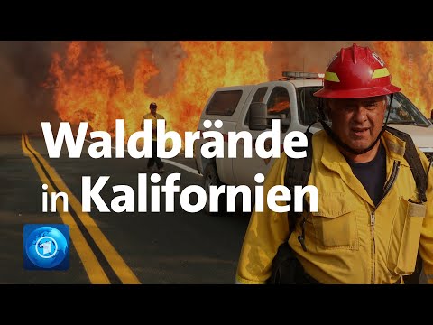 Video: Kaliforniens Gold Nugget Museum Bei Waldbränden Zerstört