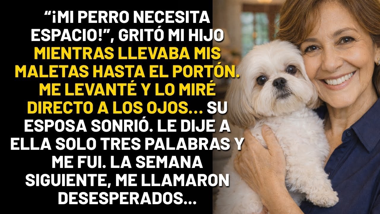 “¡Mi perro es la prioridad!” Mi hijo me echó de la casa  Yo le dije tres palabras a su esposa