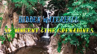 Hidden Waterfall In Georgetown - St. Vincent and The Grenadines