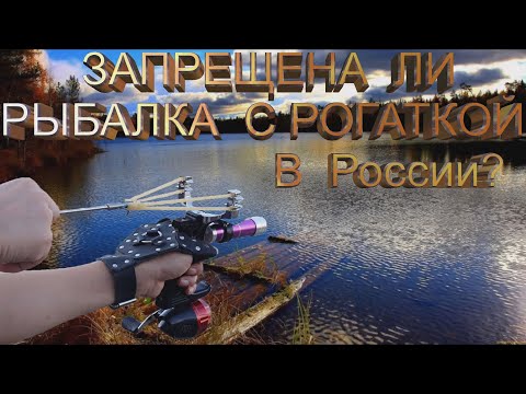 Разрешена ли в России рыбалка с РОГАТКОЙ или охота с рогаткой на рыбу? Разберём этот вопрос!