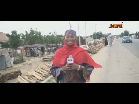 Climate Change in Borno – Zainab Adam in Maiduguri Reports | NTA