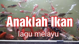 Lagu Kanak Kanak Anaklah Ikan