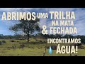 Abrimos Uma Trilha na Mata Fechada e Encontramos Água! 💧🌿 #vlog #natureza #mataatlântica