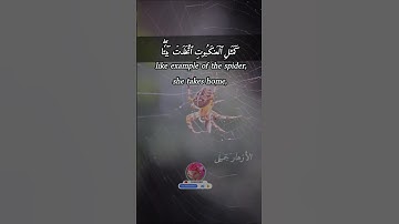 لَبَيۡتُ ٱلۡعَنكَبُوتِۚ لَوۡ كَانُواْ يَعۡلَمُونَ #اسلام_صبحي#english translation#سورة #الازهار_جميل