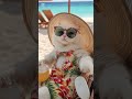 Vacation 2025 Cat Ai Funny Dankememes Cartoon Comedy Talkingtom Trend Disney 2025 Shorts Vacation 2025 Cat Ai Funny Dankememes Cartoon Comedy Talkingtom Trend Disney 2025 Shorts