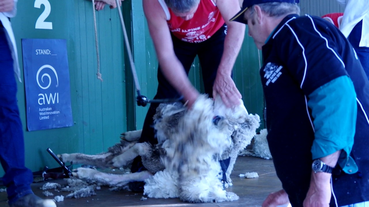 IMGP3965 by Jeanette Severs