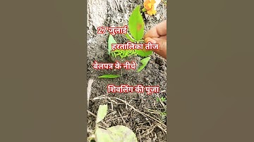 # 27, जुलाई हरतालिका तीज को बेलपत्र पेड के नीचे पार्थिव शिवलिंग का निर्माण # panditmisrakupay#