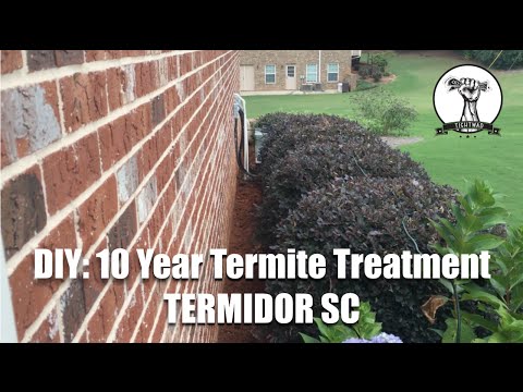 diy--10-year-termite-and-ant-t