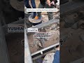 Waste tyre crushing and separating plant  #machine  #sustainablesolutions