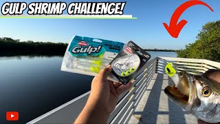 GULP SHRIMP Challenge!🔥Jigging These Gulp Baits For WHATEVER Bites! They CHOKED This Bait!