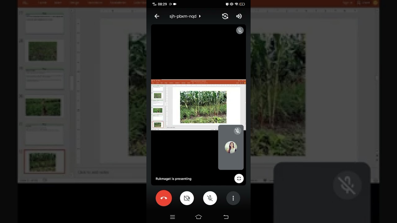 ginger msc.lecture Horticulture