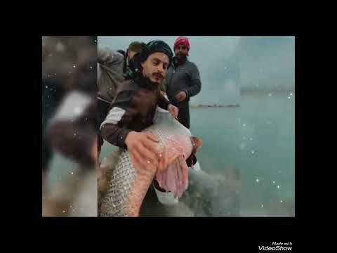 لن تصدق صبر الصبر ومر المر تحدي اشعار شعر