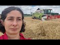 LIZ DRIVING THE CLAAS 310 COMBINE