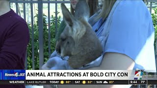 Animal attractions at Bold City Con