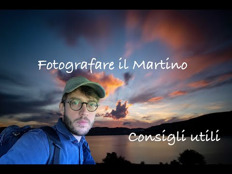 Video: Puoi dare da mangiare ai martin pescatore?