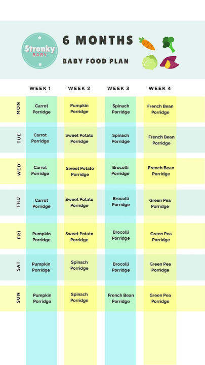 6 month Baby Food Meal Plan