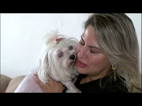Vídeo: Barbra Streisand Revela Que Teve Seu Cachorro Amado Clonado Duas Vezes