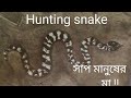 Hunting snake poem টি বিজ্ঞান দ্বারা আলোচনা by Partha sir