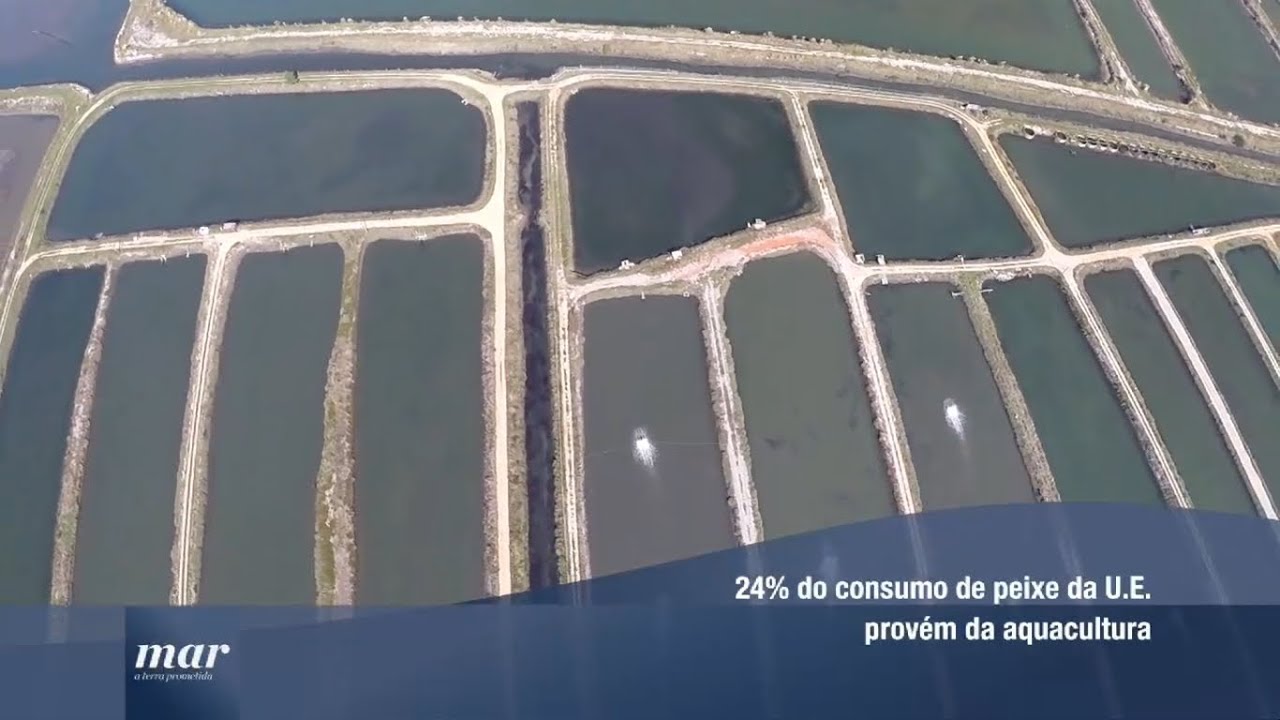Mar, a Terra Prometida - Episódio 2 - Aquacultura