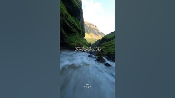 تلاوة عطرة #اسلام #اكسبلور #السعودية #راحة_نفسية #الجزائر #دويتو #القرآن_الكريم #حالات_واتس #لايك