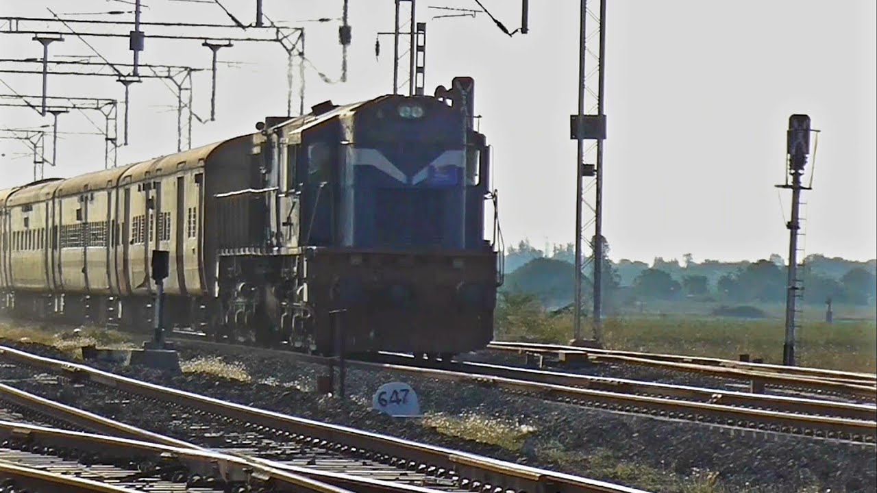 Velocity Livery VaTvA WDM 3D 11126 In SHF Beast Mode Hauling 19565 Okha velocity-livery-vatva-wdm-3d-11126-in-shf-beast-mode-hauling-19565-okha