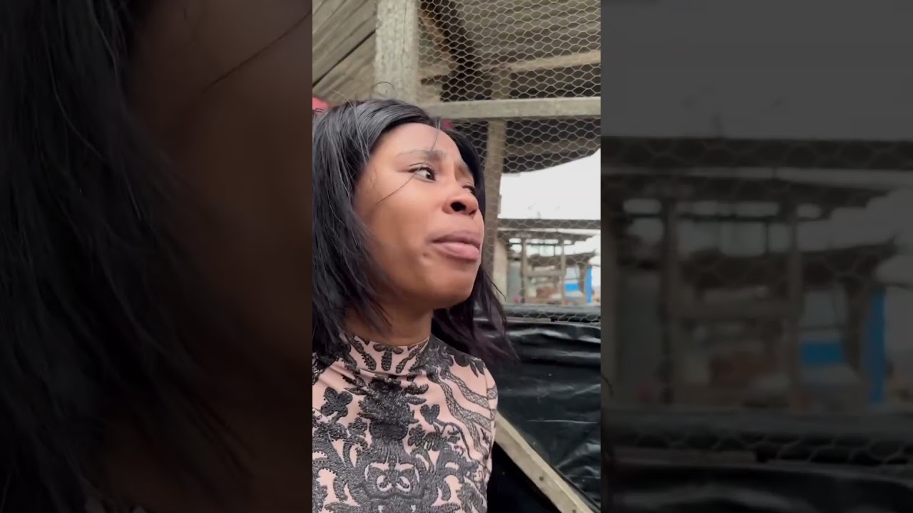 De retour derrière mon ex - Remontant HP