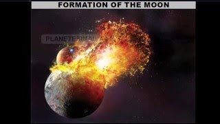 Moons Motions and Phases