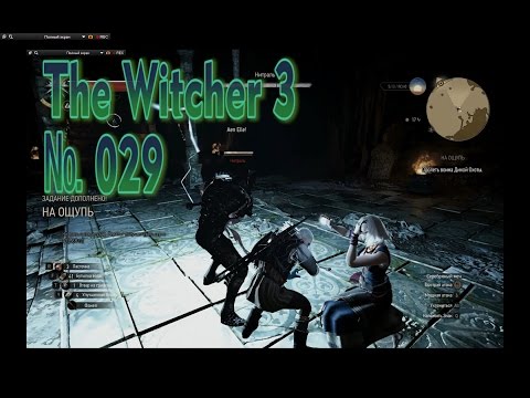 Ведьмак 3 s 029 Глаз Нехалены