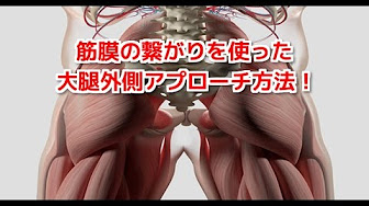 Nan Nan Back Undefined Skip Navigation Search Search Sign In Undefined Play All 筋膜の繋がりを使った疼痛治療 実践編 108 Videos 13 932 Views Last Updated On Oct 11 2017 筋膜の繋がりを使った治療の実践です 臨床にお役立て頂ければ幸い