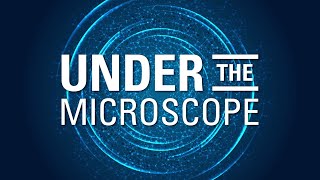 Under the Microscope.  Topic: UNMC partnership with Kansas City University