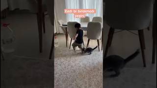 Göktürk’ün kedi ile imtihanı #sorts #shortvideo #keşfet