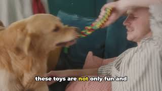 Pawsome Playtime  Top 10 DIY Dog Toys