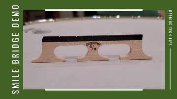 Deering Smile Bridge Tech Demo