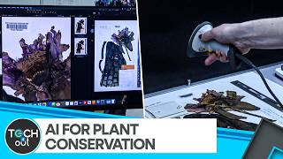 How AI Is Helping Scientists Protect Endangered Plants | WION Tech It Out