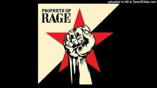 Prophets Of Rage - Take Me Higher