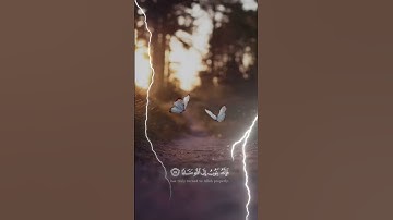 سورة الفرقان كاملة بصوت جميل وخاشع | تلاوة مؤثرة بجودة عالية