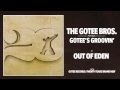The gotee brothers  gotees groovin audio
