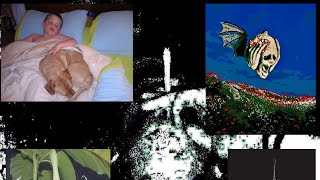 10F1/MONEYMAKINGMESS