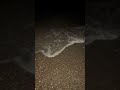 Абсолютно прозрачная, как капля воды, медуза. #медуза #shorts
