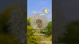 Желаю хорошего начала недели! #доброеутро #новаянеделя #понедельник