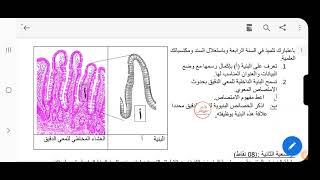 #4#متوسط الاختبار الاول و مراجعة في العلوم الطبيعية لرابعة متوسط