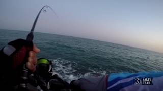 King Fish on Megabass Zonk Lure