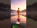 Bước chân tỉnh thức  #budhda  #ducphat