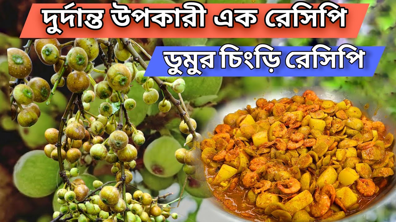 Bengali Healthy Food: A Celebration of Flavor & Wellness