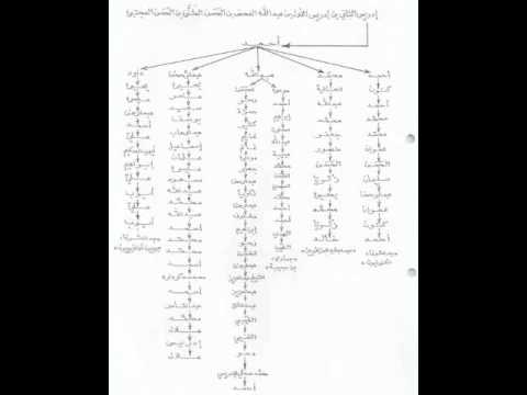 صور مخططات فروع ادريس الثاني رحمه الله