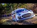Best of WRC Rally Monte Carlo 2024 | Crashes, Action and Raw Sound