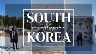 Third Day in South Korea 2023 | Pyeongchang | Samyang Farm