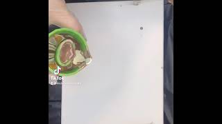 Tree Ring technique, Win or fail?