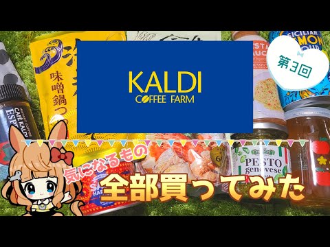 【 #KALDI 雑談】第3回 カルディで気になるもの全部買ってみた！【Vtuber／的射まくり】