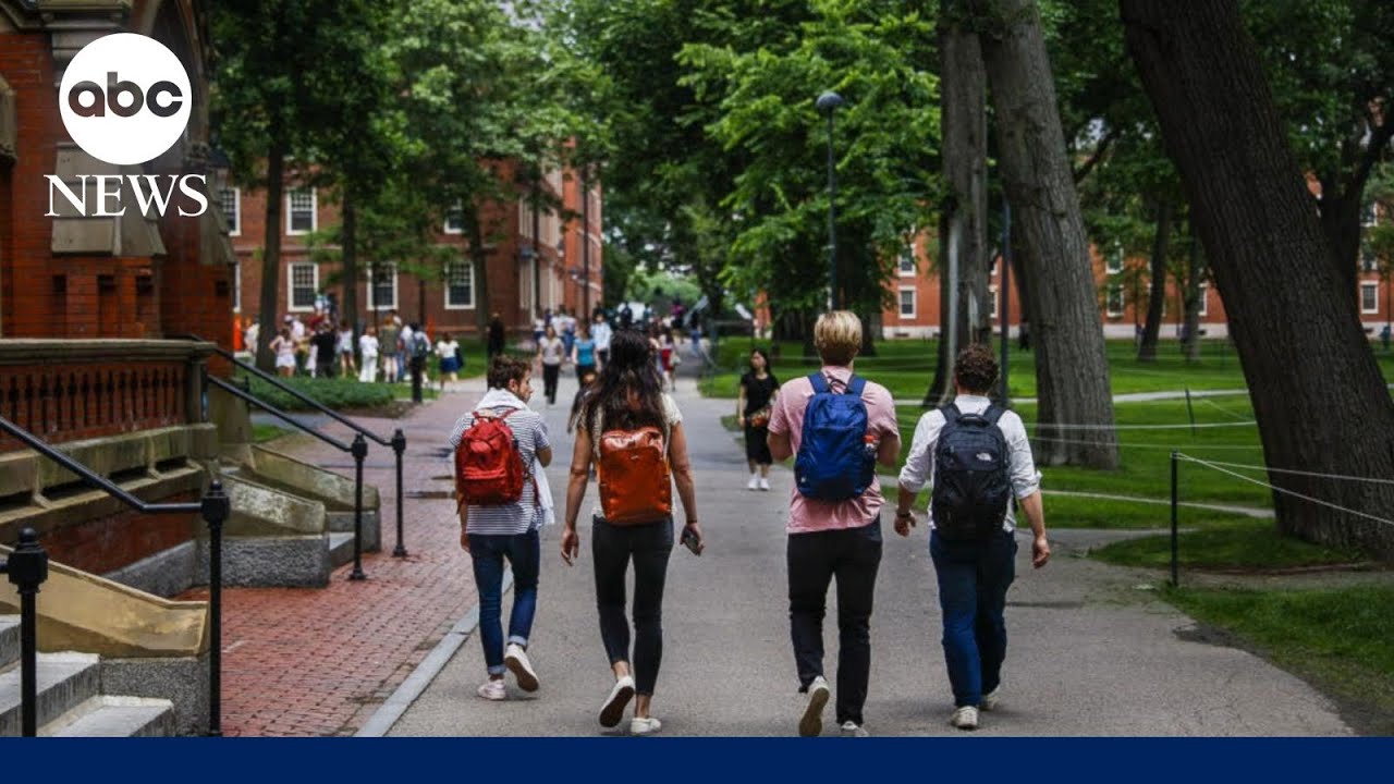 Wave of critical comments hit Harvard Palestinian student group | ABCNL